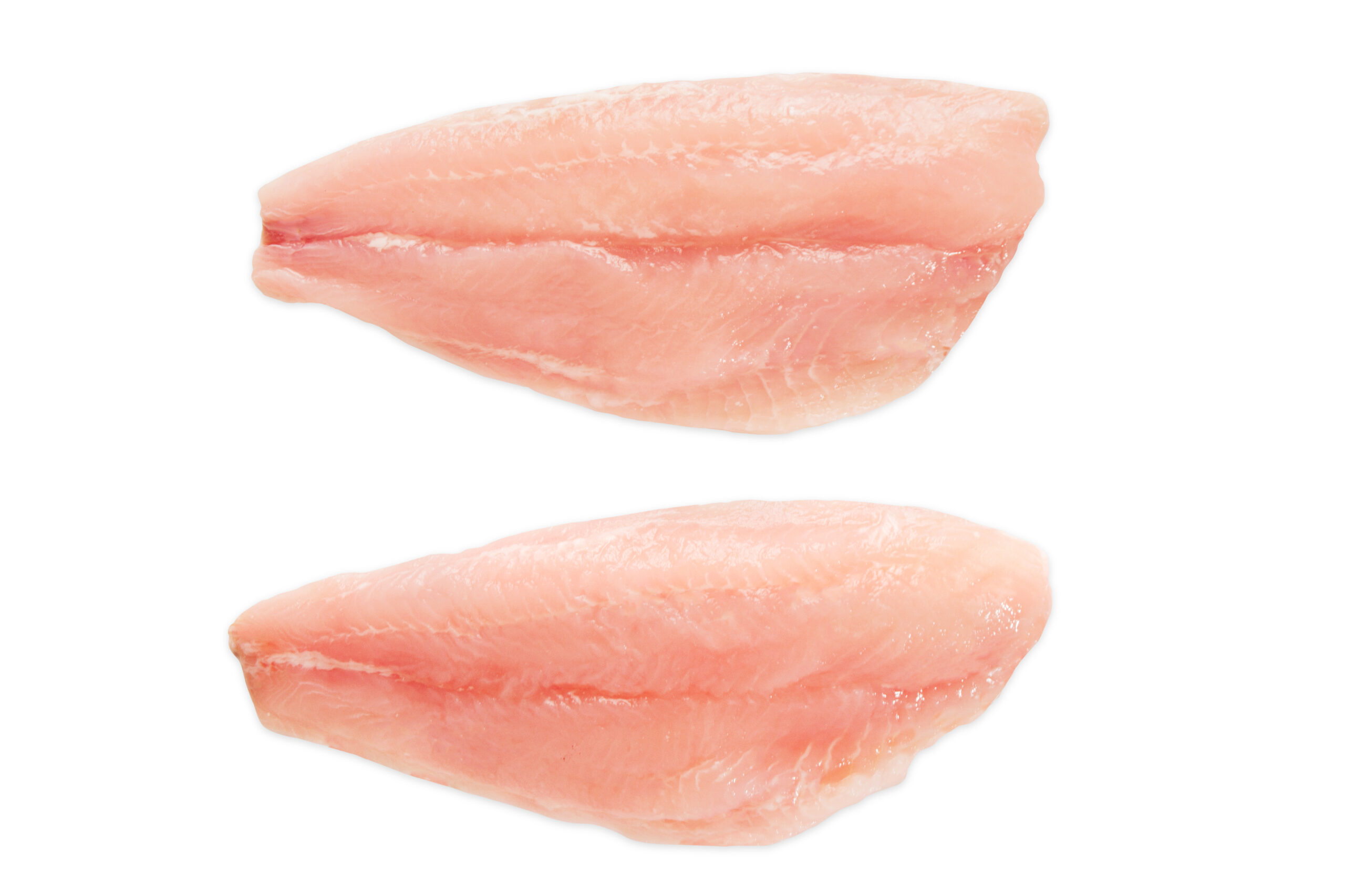 fish fillets